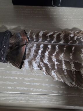 Natural Feather Hair Accessory in Brown and White
